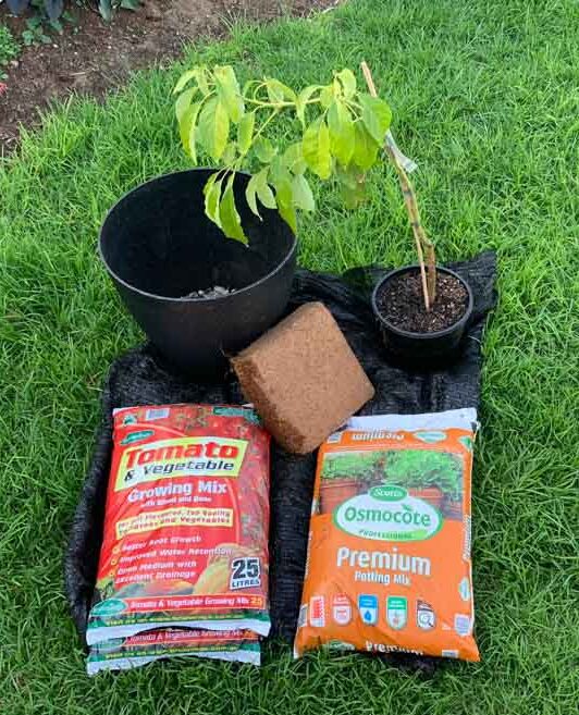 Perlite in Potting Mix - Gardening Australia