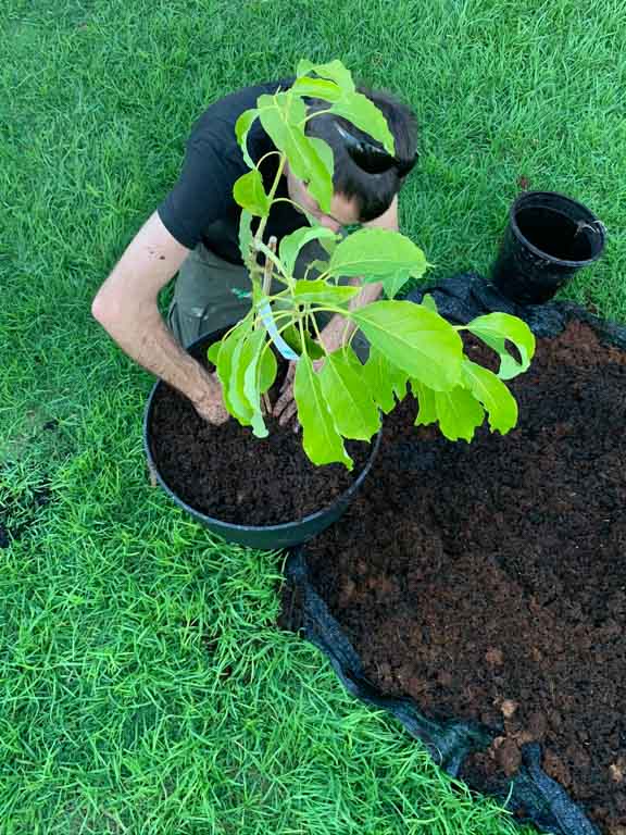 Compacting the soil