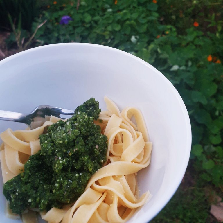 Nasturtium Leaves Pesto Pasta