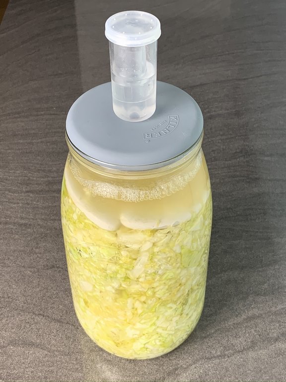 Savoy Cabbage Sauerkraut in a Kilner Fermentation Jar
