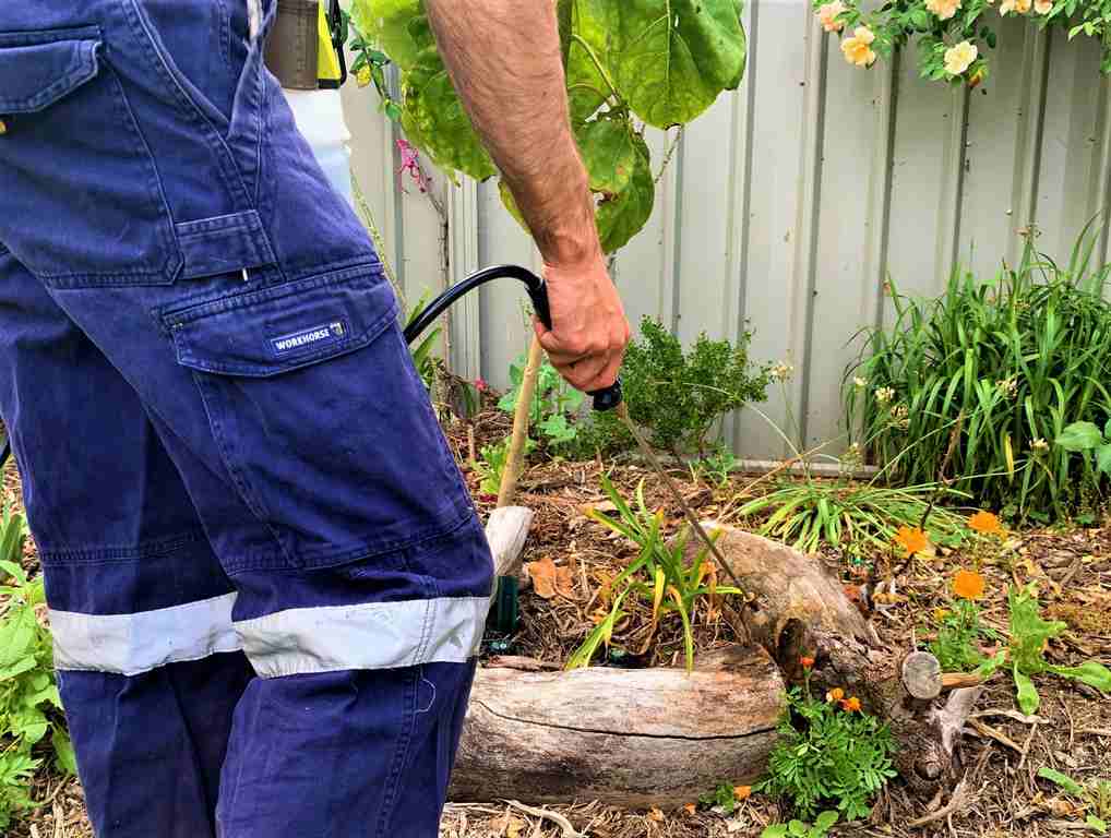 Spraying coffee spray to kill snails