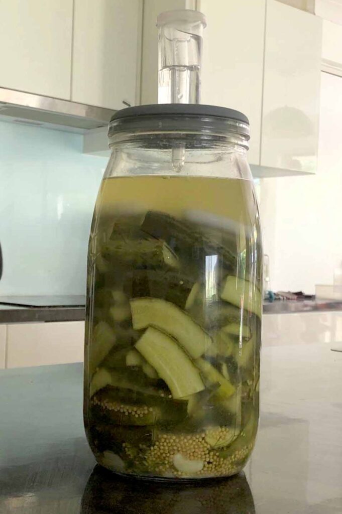 Fermented pickled cucumbers