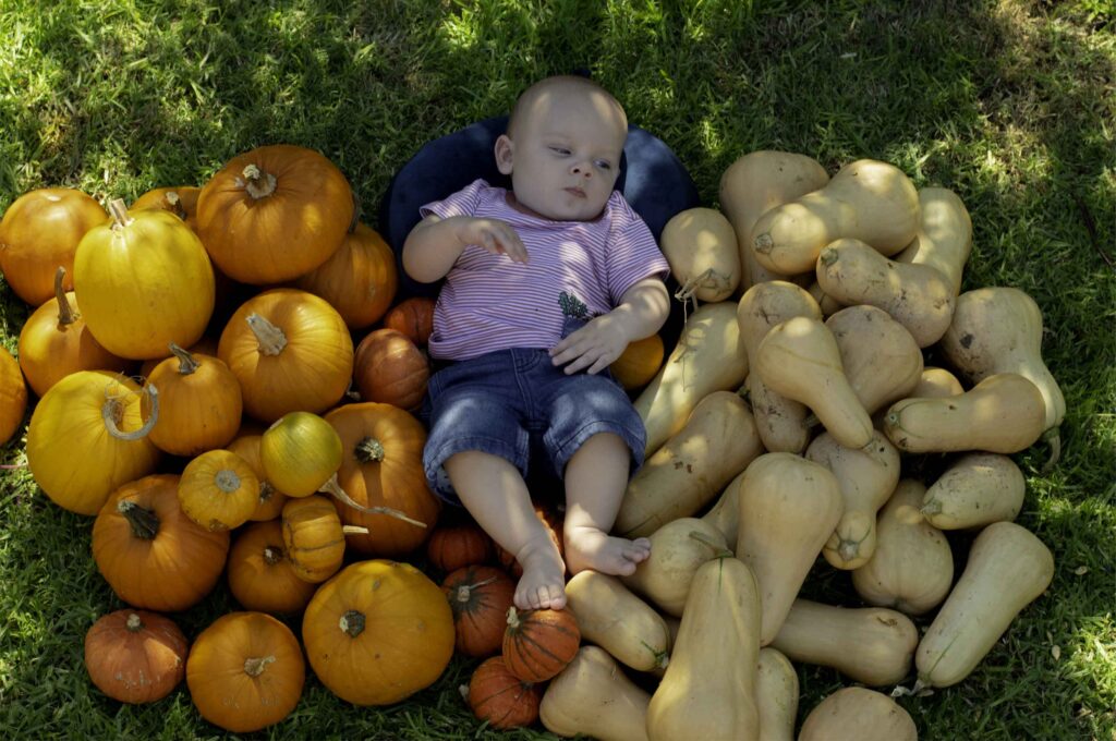 Our pumpkin harvest 2021