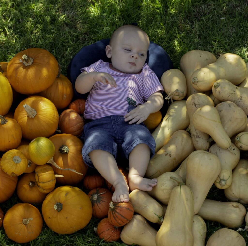 Our pumpkin harvest 2021