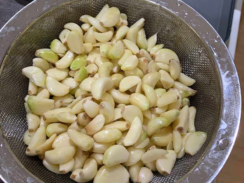 Garlic peeled ready for chopping and dehydrating