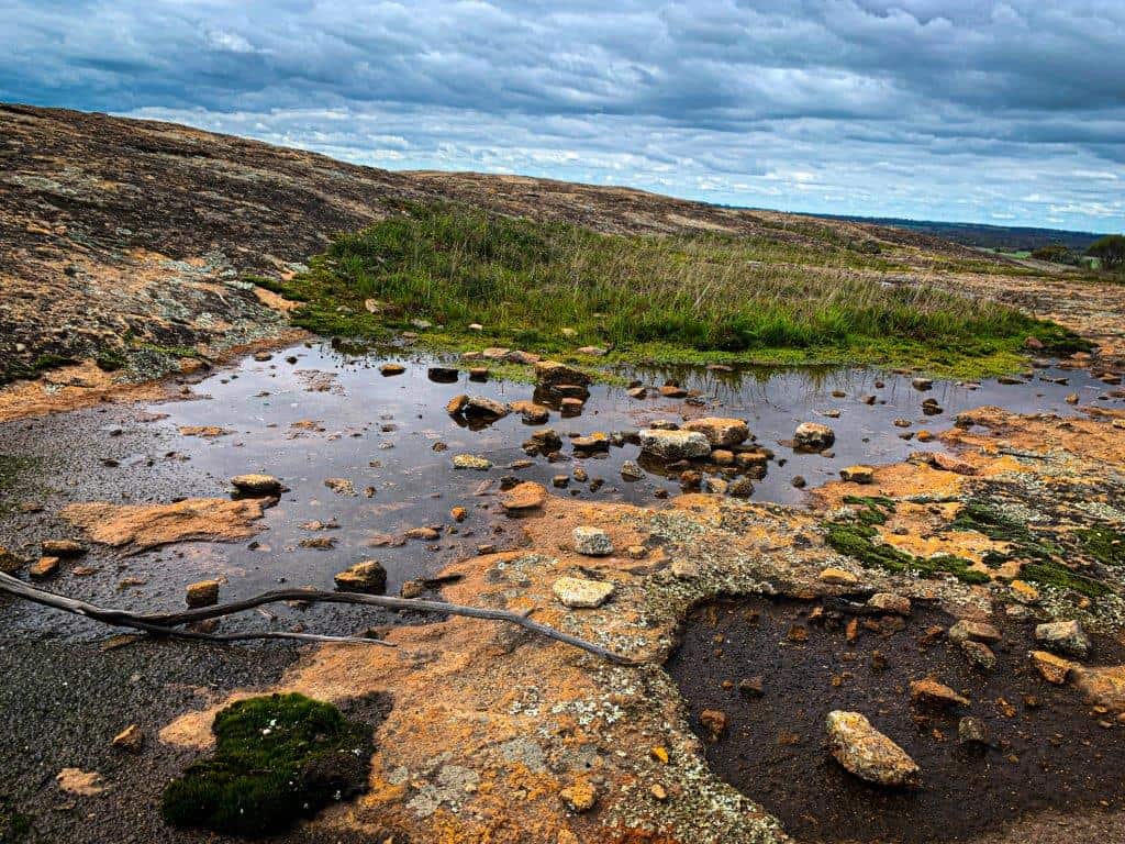 One of the many rock pools surrounded by moss and lichen