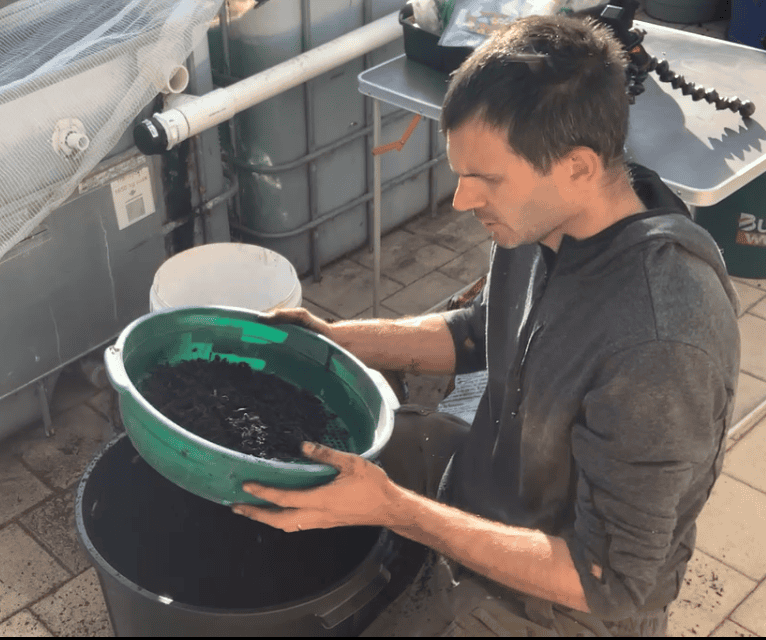 sifting your potting mix to make a fine product